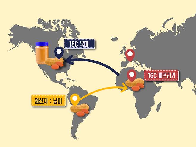 [신주희 기자]