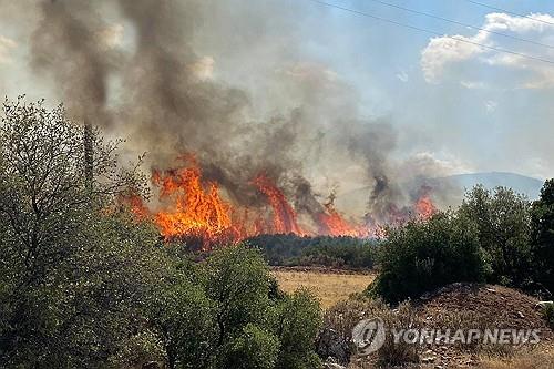 그리스 산불로 인해 불타는 올리브나무 [EPA=연합뉴스]