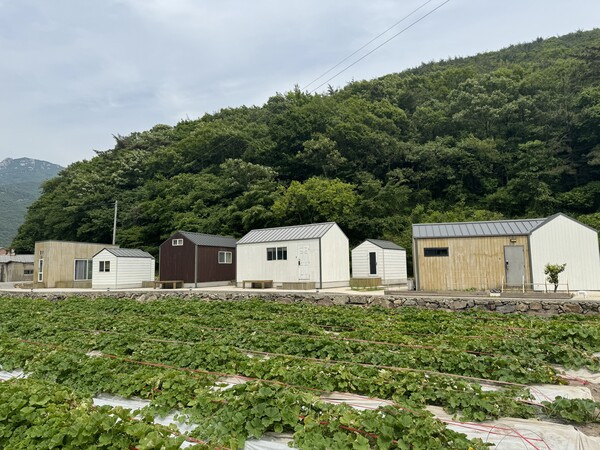 남해 두모마을 팜프라촌. /이서후 기자 