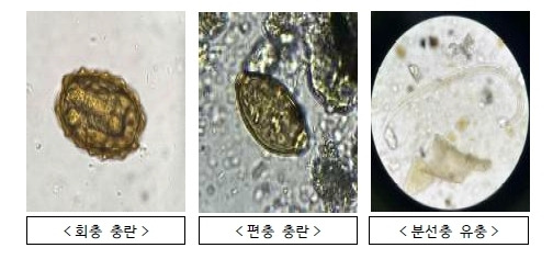 통일부 “북 살포 오물풍선서 기생충 검출…위해요소는 없어” - 2024.6.24 통일부 제공.