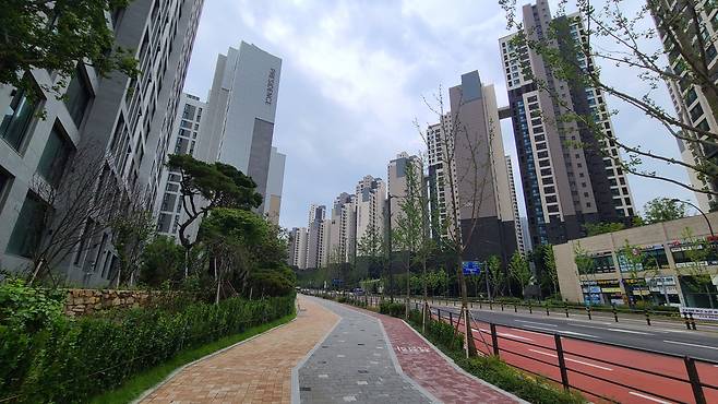 개포동 아파트일대. [헤럴드경제DB]