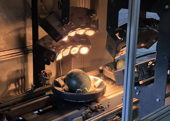 수박 비파괴 당도 측정 [이마트 제공. 재판매 및 DB 금지]