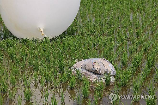 강화도 논에 떨어진 북한 '대남 풍선' (인천=연합뉴스) 임순석 기자 = 10일 오후 인천 강화군 선원면 한 논에 북한의 대남 풍선이 떨어져 있다. 2024.6.10 soonseok02@yna.co.kr