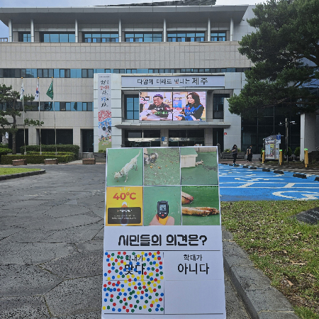 제주 동물보호단체 쿰다에서, 초롱이 사진을 보여주고 '학대가 맞다', '학대가 아니다'로 시민들의 의견을 물어본 결과, 압도적인 다수가 '학대가 맞다'는 의견을 보였다./사진=제주 동물보호단체 쿰다 제공