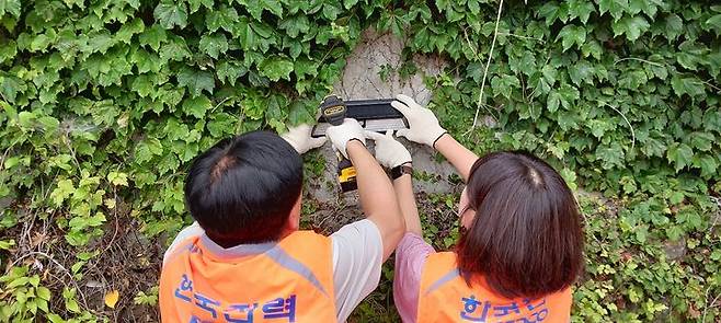 [거제=뉴시스] 신정철 기자= 거제시자원봉사센터(센터장 김창호)는 26일, 한국전력공사 거제지사(지사장 구희준, 노조위원장 오정도)와 함께 '거제를 밝히는 에너지 햇빛 마을사업'의 일환으로 연초면 하송마을 일대에 태양광 벽등 부착과 경로당 지원물품 전달 등 사회공헌 활동을 펼쳤다.사진은 태양광 벽등 설치 모습.(사진=거제시 제공).2025.06.26. photo@newsis.com *재판매 및 DB 금지