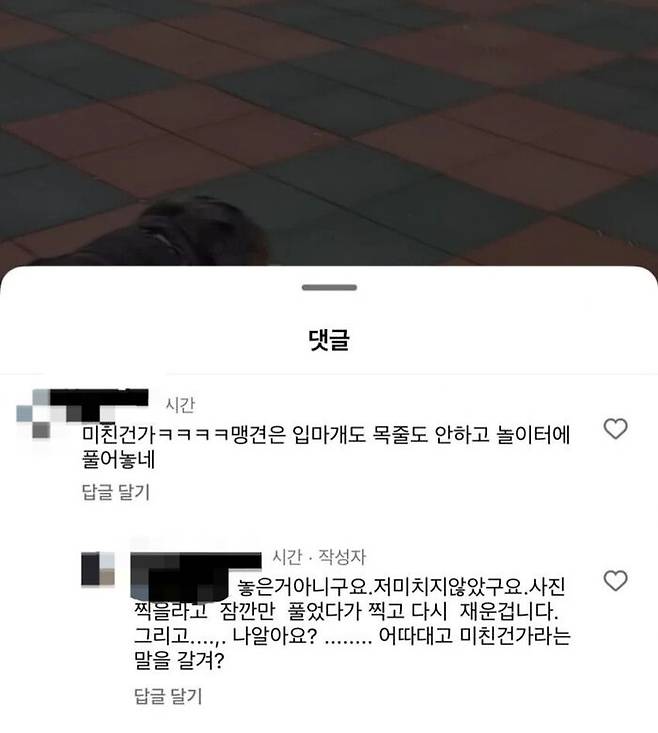 입마개, 목줄 착용 안 한 사실을 지적한 누리꾼과 설전을 벌이는 로트와일러 견주. (사진=온라인 커뮤니티)