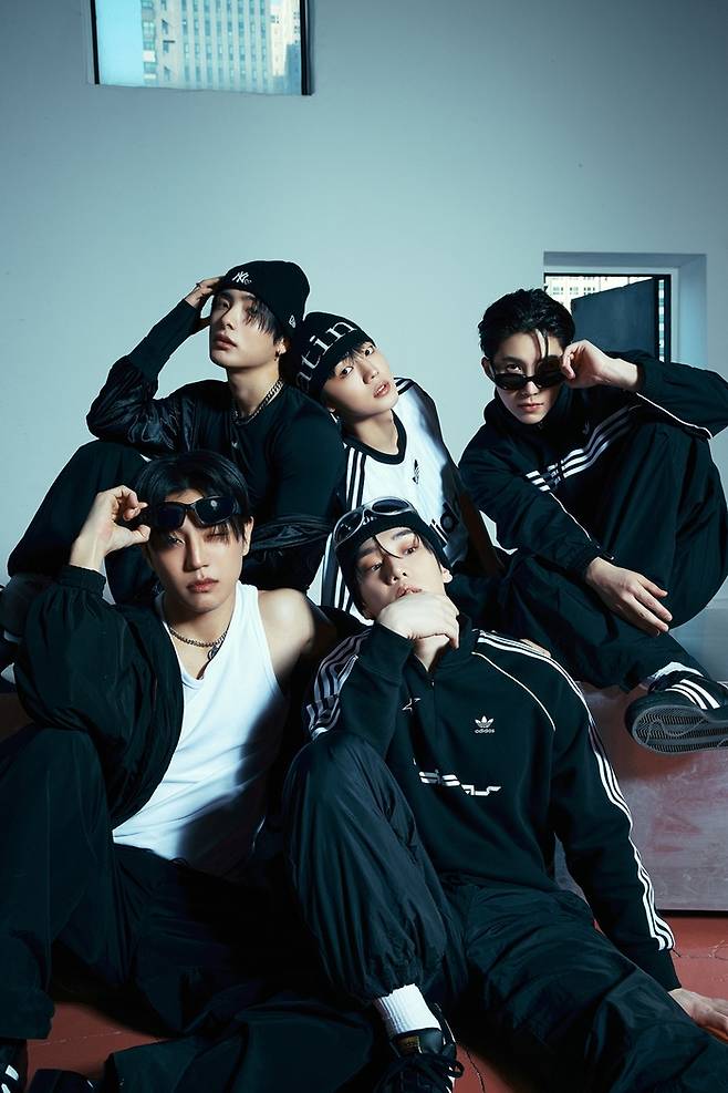 비트인터렉티브 제공