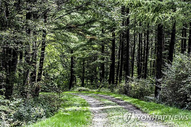 운탄고도 [연합뉴스 자료사진]