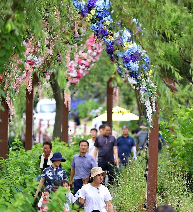 강진 수국축제