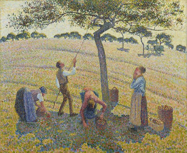 카미유 피사로, 'Apple harvest at Eragny'