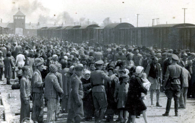 ▲ 1944년 5월 아우슈비츠 수용소에 막 도착한 유대인들이 선별 심사를 기다리고 있다. 나치는 유대인들을 실어오면서 퇴거 비용과 열차 운임을 물리기도 했다. ⓒ위키미디어