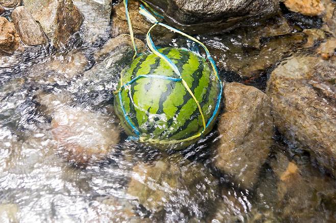 사진=게티이미지뱅크