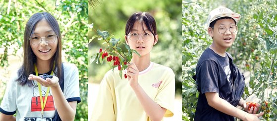 (왼쪽 사진부터) 오디를 먹어본 정하은 학생기자, 보리수나무 열매를 살펴본 김수민 학생기자, 토마토를 직접 수확해 본 박건희 학생기자.