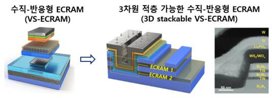 수직-반응형 ECRAM 시냅스 반도체 소자(왼쪽)와 3차원 다중 수직-반응형 ECRAM 시냅스 반도체의 모식도(가운데), 투과전자현미경 단면 사진(오른쪽).[한국재료연구원 제공]