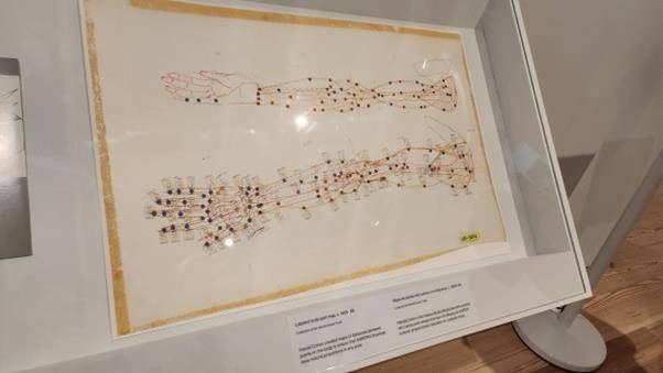 뉴욕 휘트니 미술관 아론 전시  이은준 교수 제공