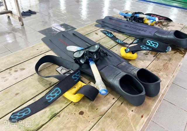 프리다이빙 기본 장비. 스쿠버다이빙 복장에 스노클링 장비와 물갈퀴, 납덩이를 착용하고 물속에 들어간다.