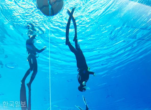울진해양레포츠센터 프리다이빙 체험. 초보자에게는 몸을 거꾸로 세워 물속으로 내려가는 게 쉽지 않았다.