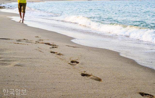 평해사구습지와 연결된 해변은 울진군이 맨발걷기 좋은 곳으로 추천하는 장소다.