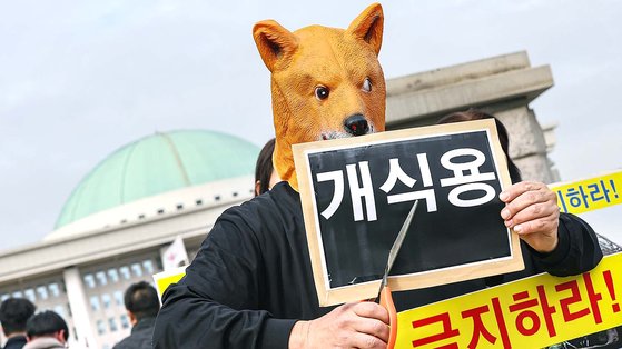 한국동물보호연합 회원들이 국회 앞에서 열린 '개식용 금지법' 농해수위 법안 소위 통과 환영 기자회견에서 퍼포먼스를 하고 있다. 뉴스1