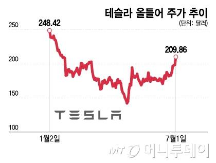 테슬라 올들어 주가 추이/그래픽=이지혜