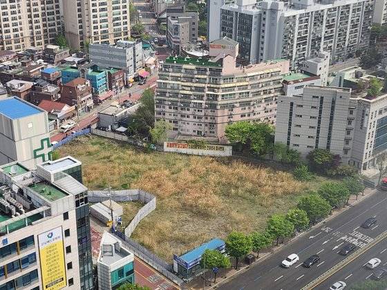 서울 강남구 도곡동 '컨테이너 할아버지'가 소유했던 땅.수년간 방치돼 잡풀이 무성하다. 함종선 기자