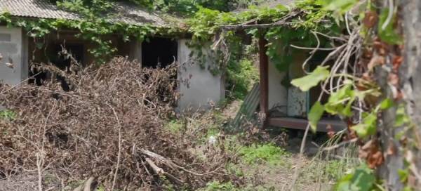 농촌지역에 방치된 빈집.