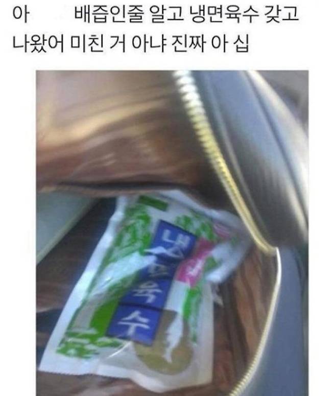 배즙 챙겨 출근한 달콤이 근황