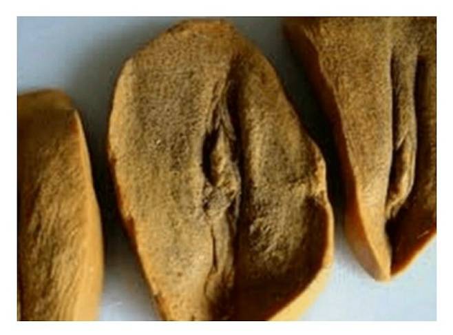 20240704_173628.jpg 영국 전통빵(aka. 뷰지빵) 만들기 재현