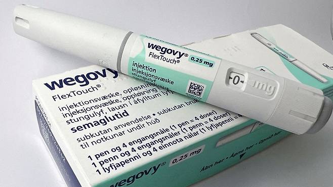 세마글루타이드 성분의 비만 치료제 '위고비'나 '오젬픽'을 투여한 사람들이 비동맥성 전방허혈성 시신경병증에 걸릴 위험이 더 크다는 연구 결과가 나왔다./사진=노보 노디스크 제공