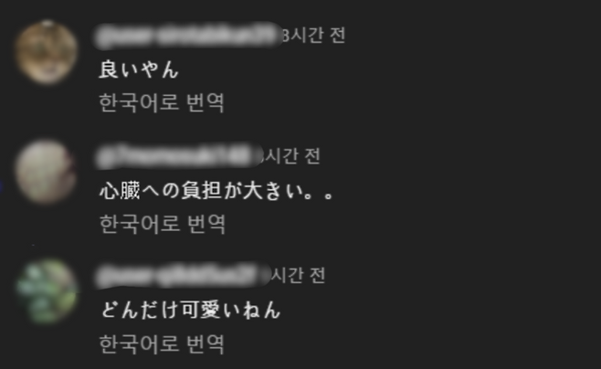 사진 = 유튜브 댓글 캡처