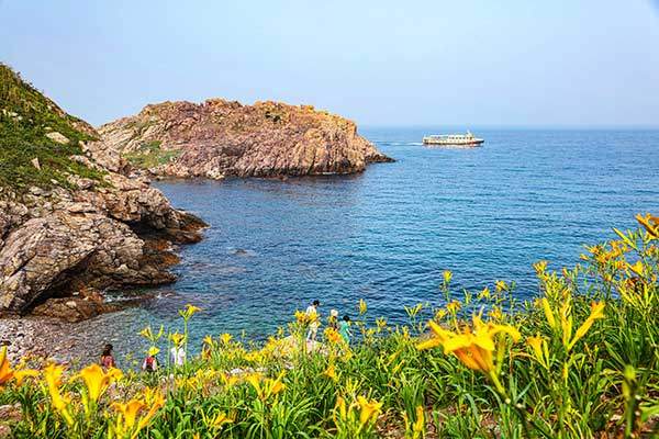 7월 홍도는 원추리의 계절이다. 홍도원추리 축제를 보기 위해 찾아온 관광객들. 올해는 7월 5일부터 14일까지 열흘간 열린다.