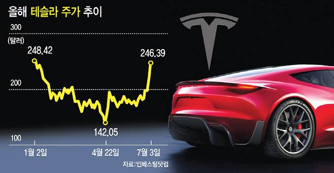 올해 테슬라 주가 추이(그래픽=문승용 기자)