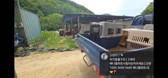 타격 콘텐트를 전문으로 하는 유튜브 채널만 10여개로, 개식용 금지 이슈로 성장했다. 한 타격 콘텐트 유튜버의 영상. 유튜브 캡처