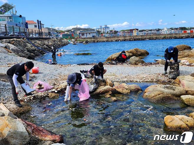 한국해양구조협회 경북특수구조대와 국립공원을 지키는 시민의 모임 연합 회원들이 호미곶 해안에서 해양보호종인 게바다말, 새우말 서식 환경 보호를 위해 해양 정화 활동 펼치고 있다. ⓒ News1 최창호 기자