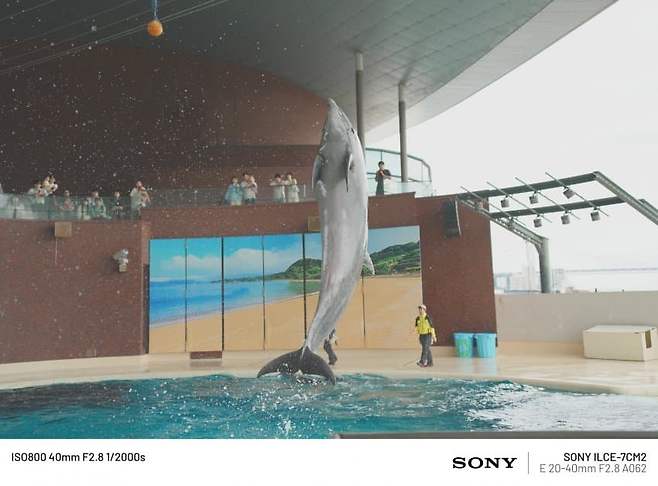 098ef376b5806ffe20b5c6b236ef203ee07ba496f61b0cd9