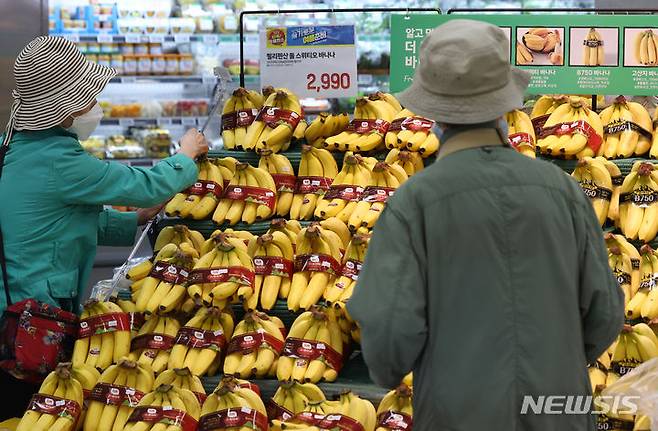 [서울=뉴시스] 김금보 기자 = 21일 서울시내한 대형마트에 바나나 상품이 진열돼있다.바나나와 파인애플 수입액이 사상 최대를 기록했다. 관세청 무역통계에 따르면 지난달 바나나 수입액은 지난해 같은 달보다 58.5% 증가한 4천629만6천달러, 파인애플 수입액은 지난해 4월보다 74.2% 증가한 906만달러로 동시에 사상 최대를 기록했다. 2024.05.21. kgb@newsis.com