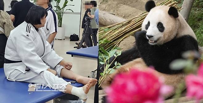 유도 대표팀 동료들 사이에서 '푸바오'라고 불리는 김하윤. &nbsp; &nbsp; 진천=이은경 기자, 삼성물산 제공