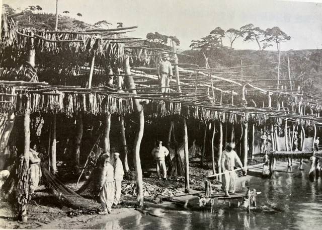 지난달말 강원특별자치도 지역학 연구 발표대회에서 '고성지역에서의 일본의 어업침탈과 주민의 대응'을 주제로 한 논문으로 최우수상을 수상한 이성식 고성문화원 연구원은 다년간의 연구를 통해 일본의 어업침탈사를 밝혀냈다.&nbsp;일제강점기 고성지역 어항주변에 들어선 명태덕장 모습. 사진제공=이성식 고성문화원 연구원