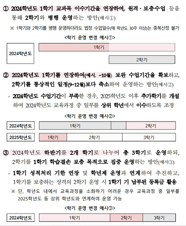 10일 교육부가 발표한 의과대학 학사 탄력 운영 가이드라인 중 의대 학기 운영 예시안. 유형과 관계없이 대학별 상황과 여건에 따라 다양한 학기·교육과정 운영이 가능하다. (자료 제공=교육부)