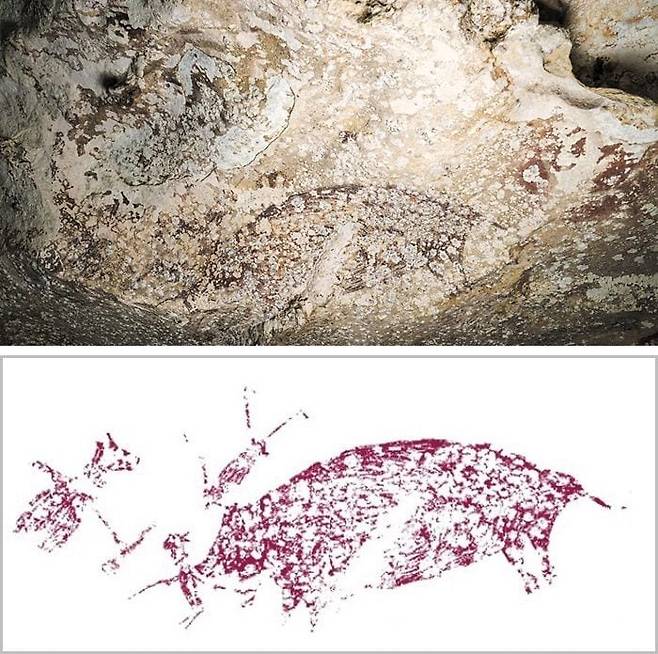 현존하는 벽화 중 가장 오래된 것으로 조사된 인도네시아 술라웨시섬 벽화. 아래 사진은 벽화에 그려진 돼지(오른쪽)와 인간 모습 형체들을 알아보기 쉽게 분리한 이미지다. 호주 그리피스대를 비롯한 국제 공동 연구진은 이번 벽화가 5만1200년 전 작품으로 추정된다는 연구 결과를 최근 발표했다./호주 그리피스대