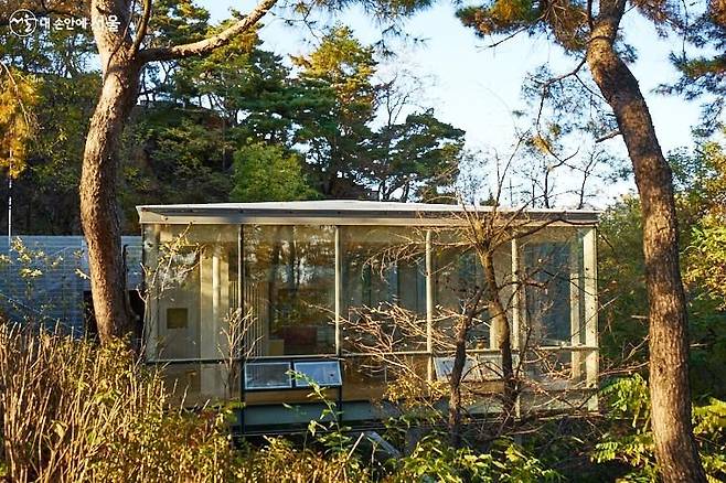 서울시 홈페이지