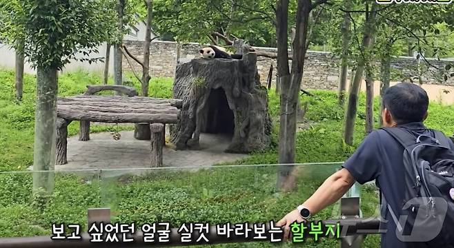 3개월 만에 푸바오와 강철원 사육사의 재회 장면(뿌빠TV 갈무리)