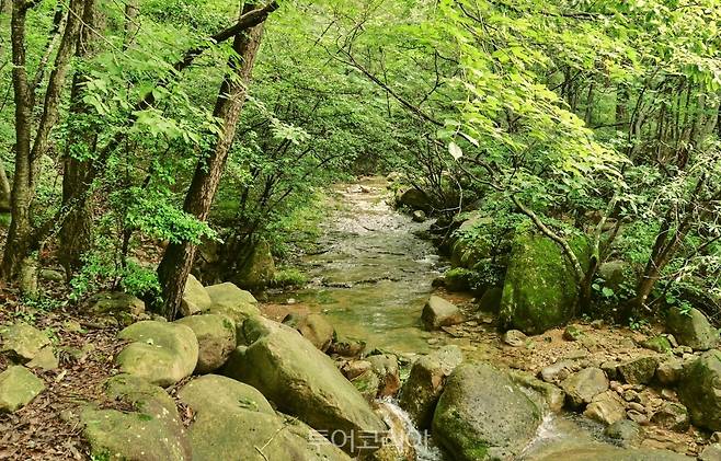 월출산 경포대 입구/사진-강진군