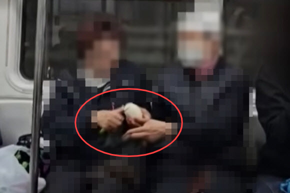 지하철 6호선 열차 안에서 한 승객이 과도를 꺼내 참외를 깎아 다른 일행들과 나눠 먹는 모습. [사진 출처 = JTBC ‘사건반장’ 보도화면 갈무리]