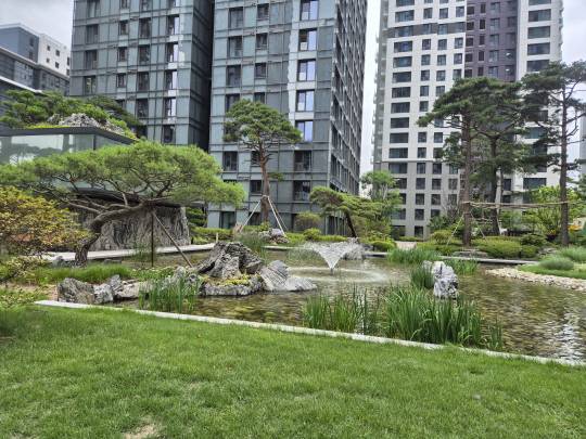 A 씨가 7일 촬영한 서울 서초구 래미안 원베일리 단지 내 조경 사진. 해당 사진은 악용될 소지가 있다는 이유로 관리 업체 직원으로부터 삭제를 요청 당했다. 독자 제공