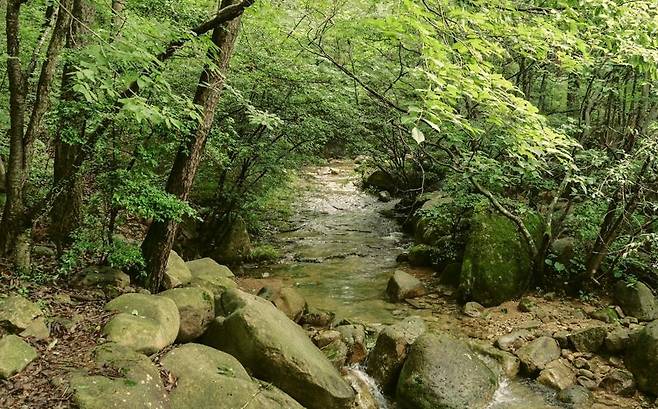 월출산 경포대 계곡 [강진군 제공·재판매 및 DB 금지]