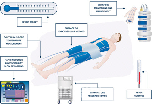 (이미지=Taccone, FS, Picetti, E. & Vincent, JL. 심장마비 후 고품질 목표 온도 관리(TTM). Crit Care 24 , 6(2020))