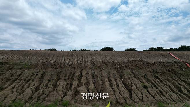 ‘오송참사’ 1주기를 하루 앞둔 14일 충북 청주시 흥덕구 오송읍 궁평2지하차도 옆 임시제방 비탈면이 빗물에 패여 있다.  정지윤 선임기자