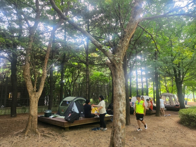 성동 서울숲 여름캠핑장. 성동구 제공