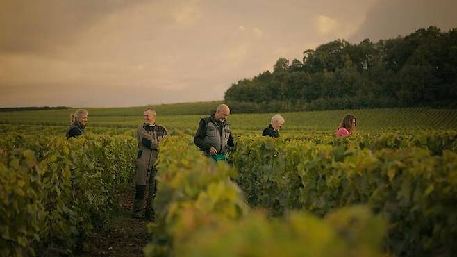 누빌 생산자들. 홈페이지